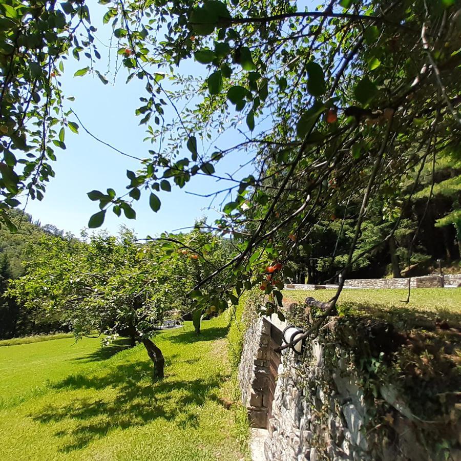 Il Bosco Di Campo Marzano Green & Sky Borzonasca Exterior foto